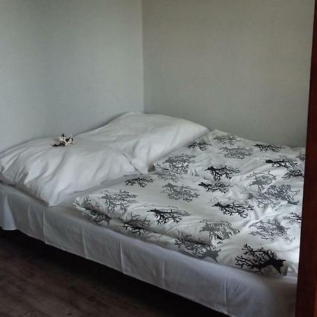 Studio Na Powislu Krakow Bagian luar foto